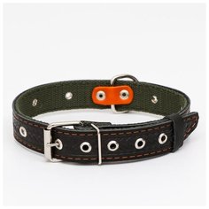 Ошейник комбинированный Пижон безразмерный, кожа-брезент, 60*3 см, ОШ 30-57 см, черный-зеленый