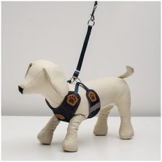 Комплект "Рефлекс" размер S, поводок 95 см, шлейка многоразмерная 18-47 см, джинс Пижон