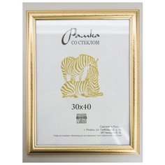 Рамка пластиковая 30х40, Зебра, 609 золотистый