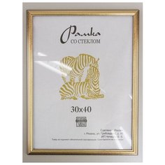 Рамка пластиковая 30х40, Зебра, 309 пудровый, графит