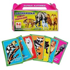 Настольная игра Задира-Плюс Живая география