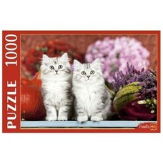 Пазл Рыжий кот Котята и урожай (КБ1000-7887), 1000 дет.