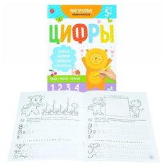 Раскраска-пропись "Пиши-рисуй-стирай" Цифры /200*260 мм, 16 стр., обл.-мел. Феникс