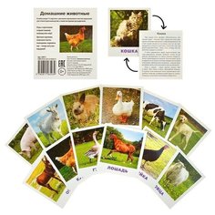 Умный малыш. Домашние животные Ходюшина Н.П. АЙРИС пресс