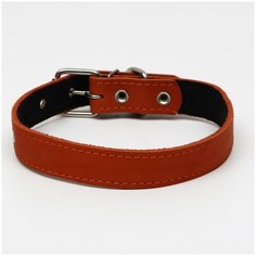 Ошейник кожаный на синтепоне, 65 х 3 см, ОШ 40-55 см, оранжевый Пижон