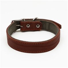 Ошейник комбинированный кожа/брезент, 69 х 3,5 см, ОШ 45-60 см, коричневый Пижон