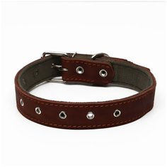 Ошейник комбинированный кожа/брезент, безразмерный, 70 х 3,5 см, коричневый Пижон