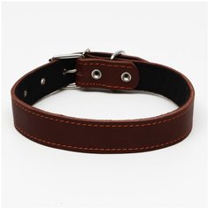 Ошейник кожаный на синтепоне, 70 х 3,5 см, ОШ 45-60 см, коричневый Пижон