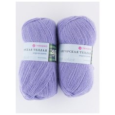Пряжа "Ангорская теплая" 100г., 480м (2 мотка)., ПЕХОРКА, 25-Кристалл