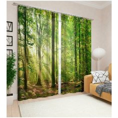 Фотошторы "День в лесу" Сирень