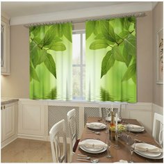 Фотошторы Сирень "Живой родник", 145*160 2шт