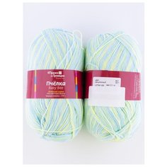 Пряжа "Пчелка" 100г, 500м (2 мотка), ПРЯЖА ИЗ ТРОИЦКА, 4271 секционный Троицкая камвольная фабрика
