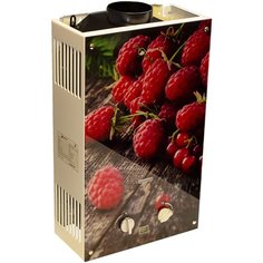 Проточный газовый водонагреватель Wert 10EG Berry