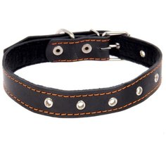 Ошейник Пижон 1613418, длина ошейника 65 см микс