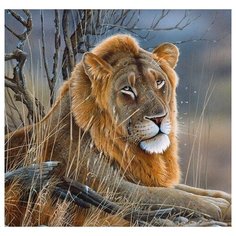 Алмазная мозаика "Лев посреди веток", блестящая, 20х20 см Рыжий кот