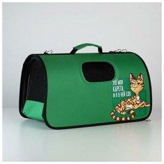 Пушистое счастье Сумка-переноска раскладная, каркасная «Это моя карета» 52x22x29 см