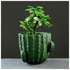 Кашпо керамическое "Кактус" 16*13см 5274404 Take It Easy