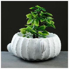 Кашпо керамическое "Кактус" белое 19*9см 5274412 Take It Easy