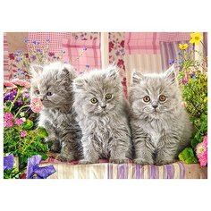 Пазлы B2-27491 Три серых котенка, 260 деталей MIDI Castor Land Castorland