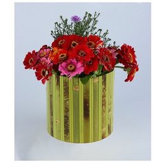 Правильная упаковка Коробка подарочная "Шляпная", бамбук, зеленая, 25 х 30 см