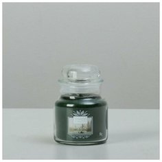 Yankee Candle Свеча ароматическая в банке Вечнозеленая хвоя Evergreen Mist, 104 гр, 25-45 ч
