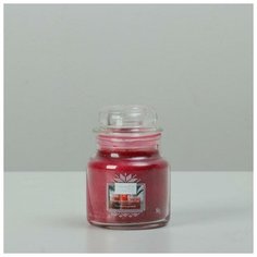 Yankee Candle Свеча ароматическая в банке Гранатовый джин Pomegranate Gin Fizz, 104 гр, 25-45 ч