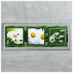 Сюжет Часы-картина настенные, серия: Цветы, "Ромашки в поле", 35х100 см, микс