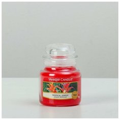 Yankee Candle Свеча ароматическая в банке Тропические джунгли Tropical Jungle, 104 гр, 25-45 ч