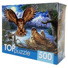 Пазл Рыжий кот Ночные совы на 500 детал.
