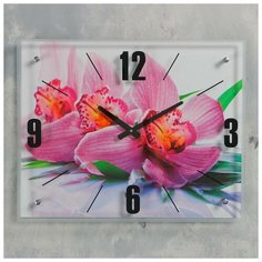 Сюжет Часы настенные, серия: Цветы, "Орхидея", 40х50 см, микс
