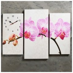 Сюжет Часы настенные, серия: Цветы, модульные "Розовые цветки орхидеи", 60х80 см, микс