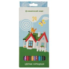 Цветные карандаши 24 цвета Сибирский Кедр "Карандашная деревня"