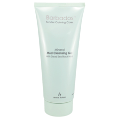 Anna Lotan гель для умывания Mineral Mud Cleansing Gel, 200 мл