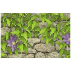 Обои Брянск Клематис 06 0,53х10м