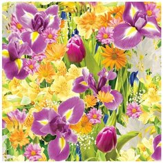 Обои Минск Голландия 9 0,53х10м. Гомельобои