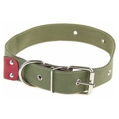 Ошейник Пижон брезентовый, однослойный, 70*3,5 см, ОШ 30-55 см
