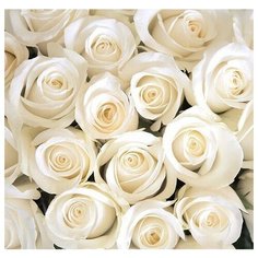 Фотообои 3D ROS-015 300*270 песок