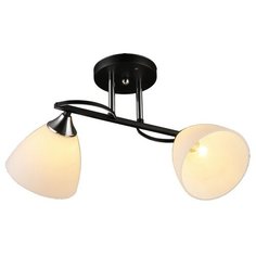 Потолочная люстра MD.2980-2-S BK+CH (Imex)