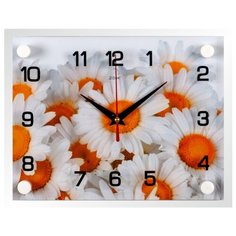 Часы настенные "Ромашковое счастье", 2026-1123 Рубин