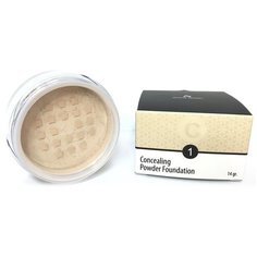 Anna Lotan Пудра Concealing Powder Foundation 201 (1) Natural
