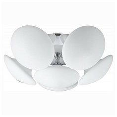 Потолочная люстра Escada Nerina 8001/6PL