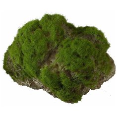 Декоративный камень с мхом для аквариума AQUA DELLA "Moss Stone", 9x6x6.5см (Бельгия)