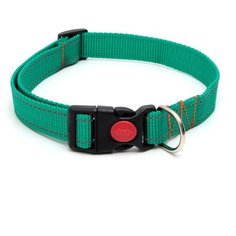 Ошейник капроновый, светоотражающий, фастекс с замком, 70 х 2,5 см, ОШ до 60 см, зелёный Пижон