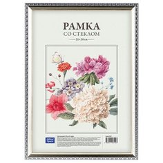 Рамка пластиковая 21*30см, OfficeSpace, № 9, серебро