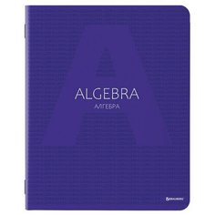 Тетрадь предметная COLOR 48 листов, матовая ламинация, лак, 70 г/м2, алгебра, клетка, подсказ, BRAUBERG, 403978