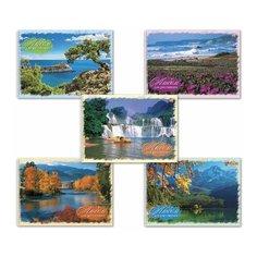 Альбом для рисования, А4, 40 листов, спираль, обложка картон, HATBER VK, 205х300 мм, "Природа", 40А4Cсп, A140819