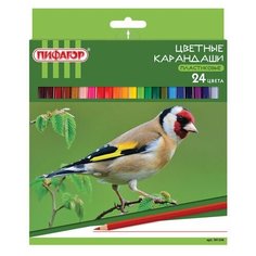 Карандаши цветные пифагор "лесные жители", 24 цвета, пластиковые, классические заточенные, 181336