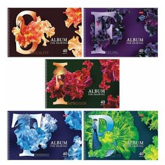 Альбом для рисования, А4, 40 листов, спираль, конгрев, фольга, HATBER, 205х300 мм, "Beautiful birds" (5), 40А4КфвлВсп