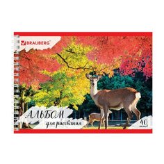 Альбом для рисования, А4, 40 л., гребень, обложка картон, BRAUBERG ЭКО, 205х290 мм, "Дикий лес" (1 вид), 105107
