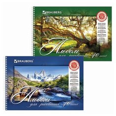 Альбом для рисования, А4, 40 листов, гребень, обложка картон, BRAUBERG, 205х290 мм, "Удивительная Природа" (2 вида), 102832